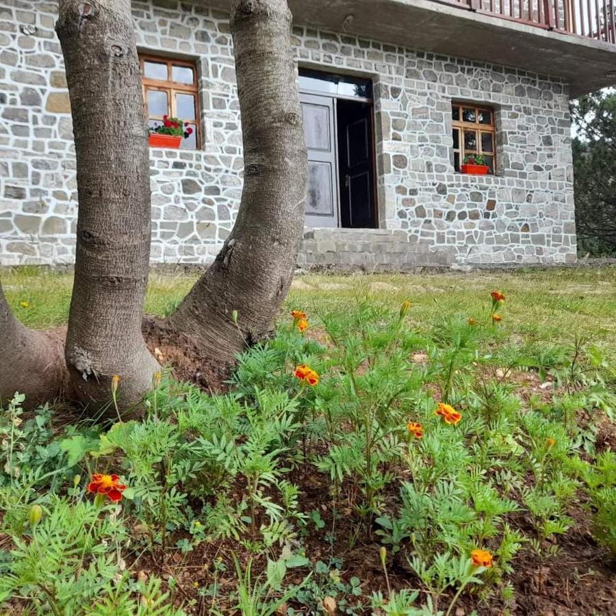 Hotel Grabova Grabove e Siperme Bagian luar foto
