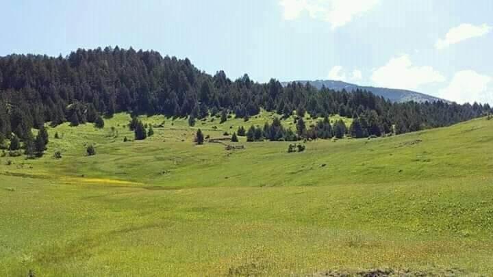 Hotel Grabova Grabove e Siperme Bagian luar foto